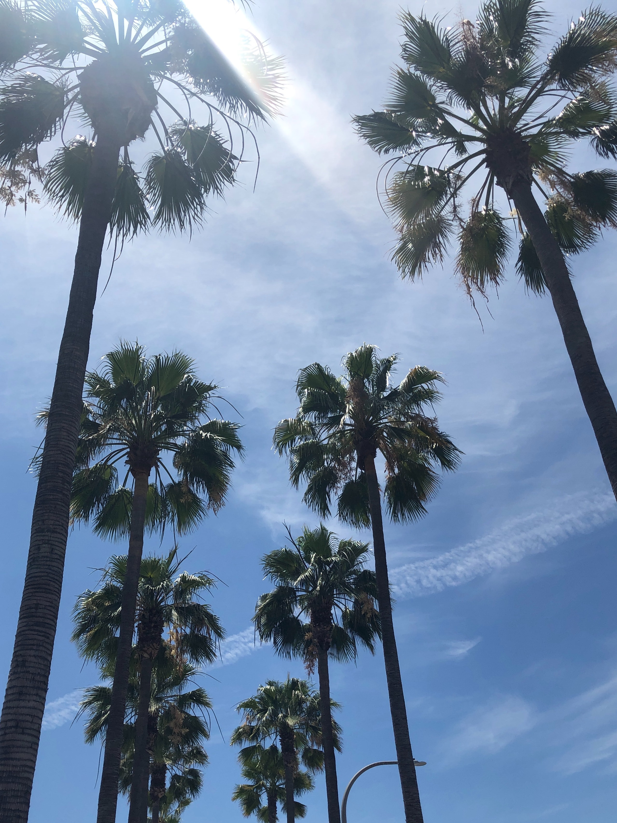 Palm Beach Gardens roofing projects local showcase