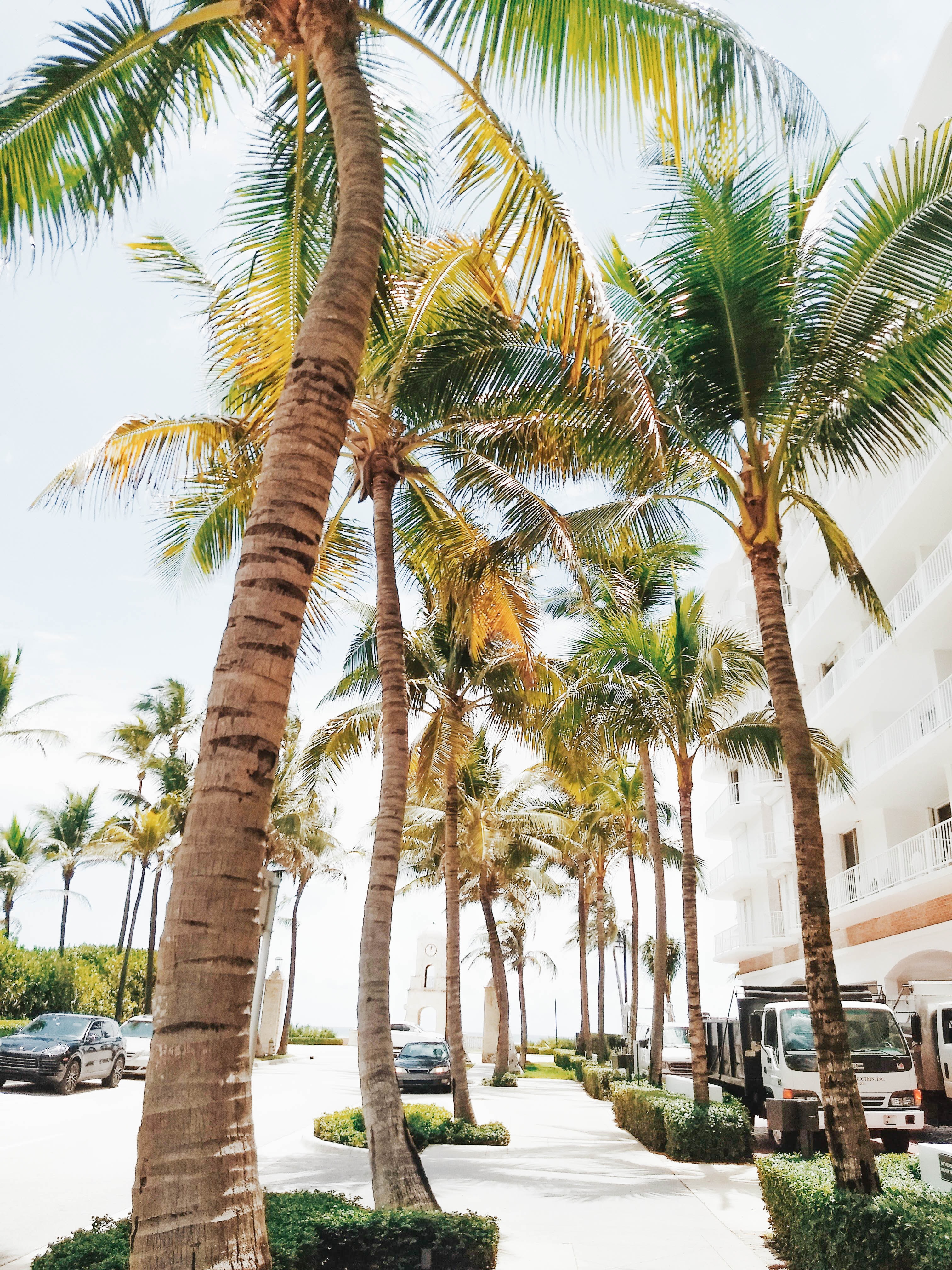 Palm Springs roofing projects local showcase